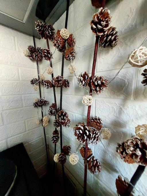 Dani'S Boho Home Missolonghi ภายนอก รูปภาพ
